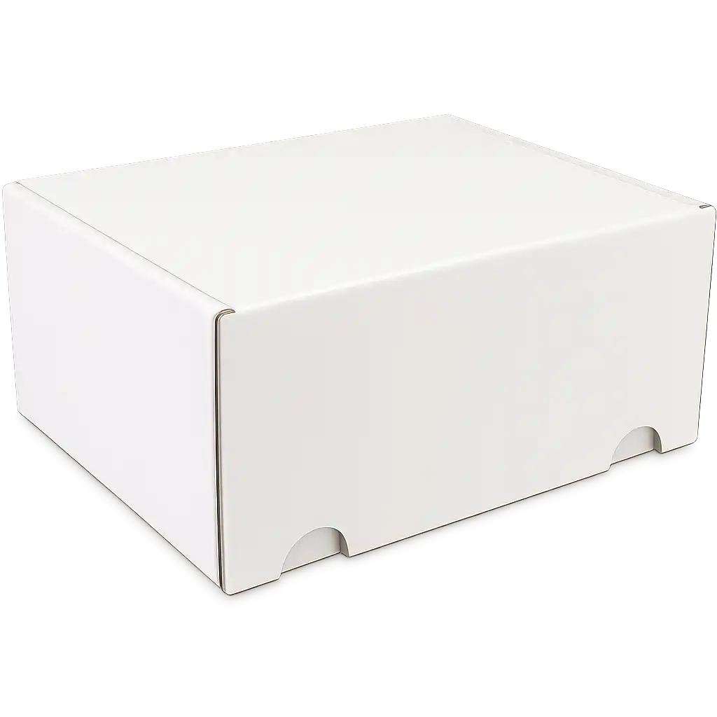 Wit Postpakketdoos van Golfkarton - 210x160x95mm, Perfect voor Verzending (25 stuks)