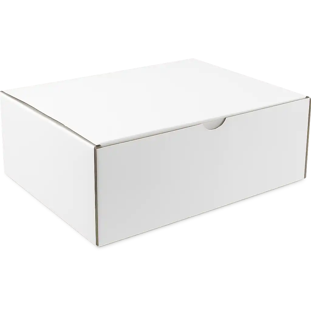 Wit Postpakketdoos van Golfkarton - 302x215x105mm, Perfect voor Veilige Verzendingen (25 stuks)