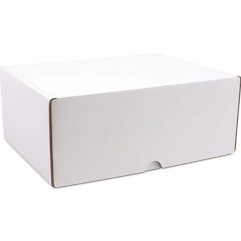 Witte Postpakketdoos van Golfkarton - 315x215x120mm, Perfect voor Verzenden (25 stuks)